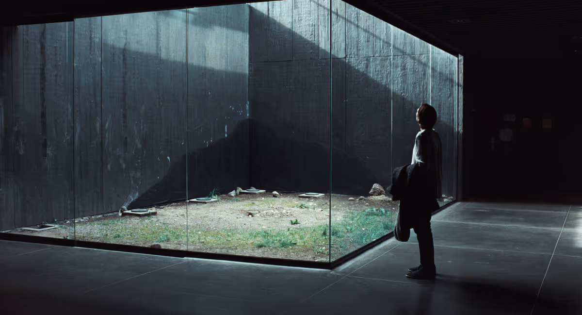 Tending the garden: Why the unusual release plan for ‘Memoria’ is good for film culture