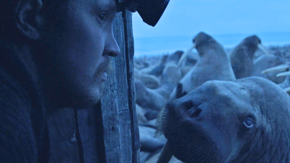 Worst to Best: The 2023 Oscar Shorts Nominees