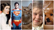 My Mother, the Movies, and Me