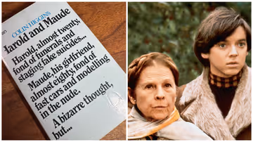 No, But I Read the Book: ‘Harold and Maude’