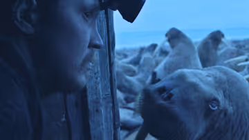 Worst to Best: The 2023 Oscar Shorts Nominees