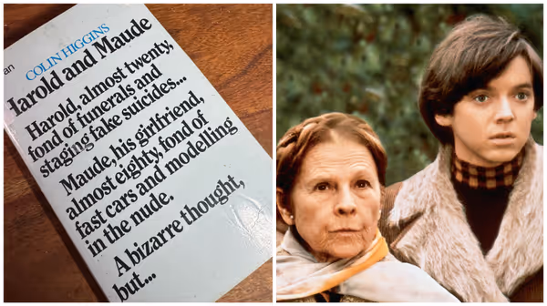 No, But I Read the Book: ‘Harold and Maude’