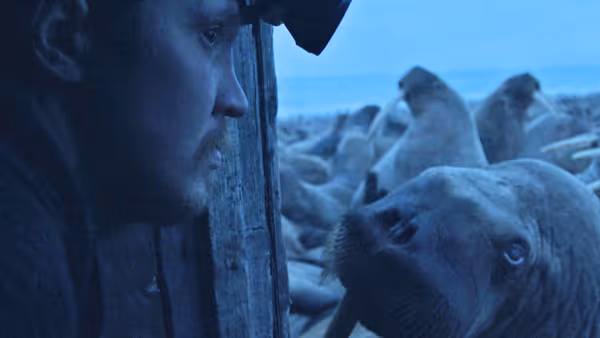 Worst to Best: The 2023 Oscar Shorts Nominees