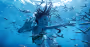 In Review: 'Avatar: The Way of Water,' 'Guillermo del Toro's Pinocchio'